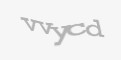 Codul de securitate