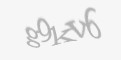 Codul de securitate