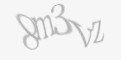 Codul de securitate