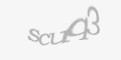 Codul de securitate