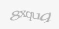 Codul de securitate