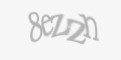 Codul de securitate