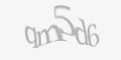 Codul de securitate